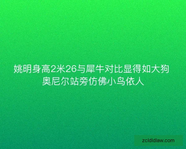 姚明身高2米26与犀牛对比显得如大狗 奥尼尔站旁仿佛小鸟依人