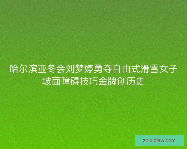 哈尔滨亚冬会刘梦婷勇夺自由式滑雪女子坡面障碍技巧金牌创历史 哈尔滨亚冬会刘梦婷勇夺自由式滑雪女子坡面障碍技巧金牌创历史